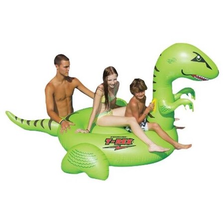 International Leisure Products